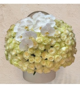 Box of 101 White Roses &amp; Orchids