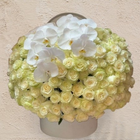 Box of 101 White Roses &amp; Orchids