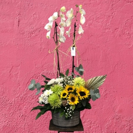 White Orchid w/ Sunflower & Daisy