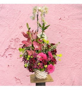 White Orchid w/ Pink Lilies, Gerberas & Lucky Bamboos