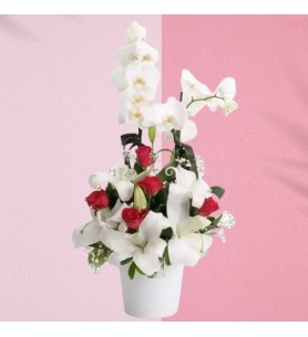 White Orchid w/ Red Roses & Lilies