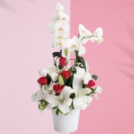 White Orchid w/ Red Roses & Lilies
