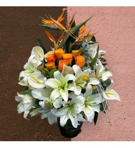 Orange & white Arrangement