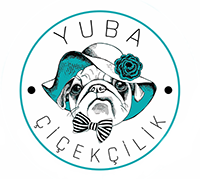 https://instagram.com/yubaflowersankara/